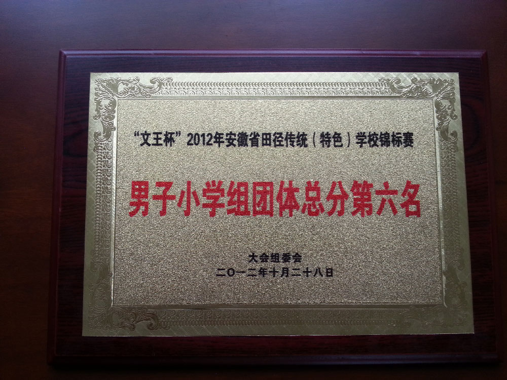 2012年安徽省田径传统学校锦标赛男子小学组团体总分第六名.jpg